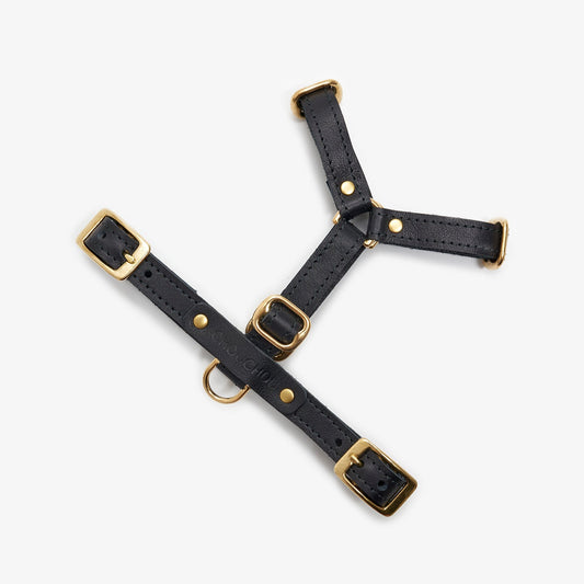 Full view of an adjustable black leather dog harness with durable brass hardware, designed for comfort and style
