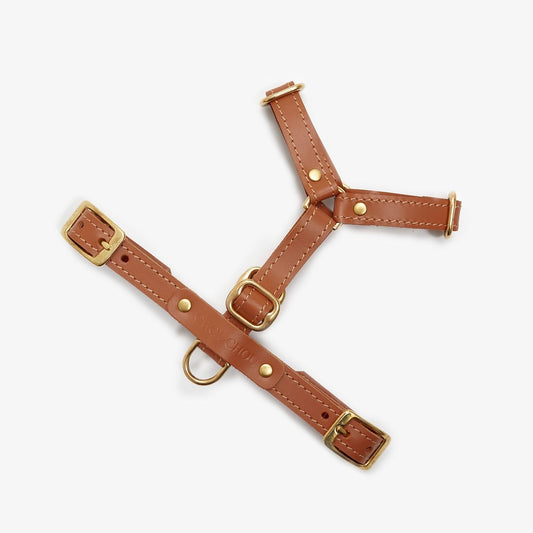 Full view of an adjustable brown leather dog harness with durable brass hardware, designed for comfort and style