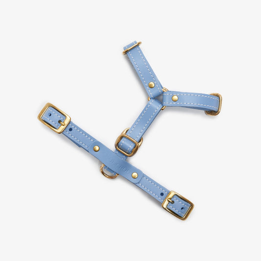 Full view of an adjustable light-blue leather dog harness with durable brass hardware, designed for comfort and style