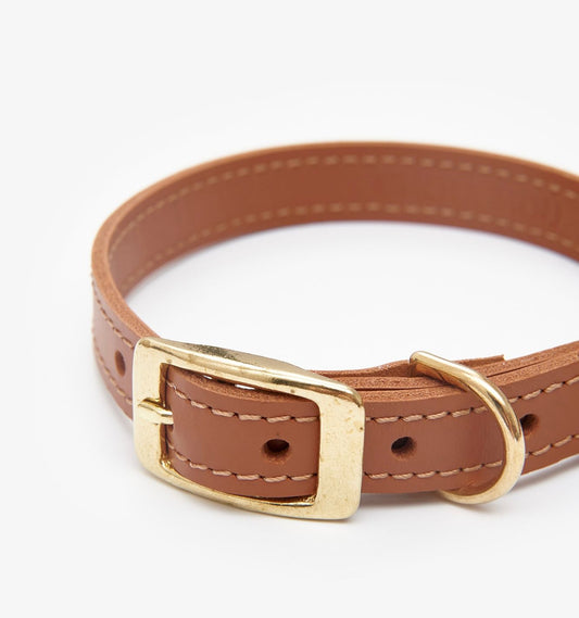 Closeup view of a luxury brown leather dog collar with premium stitching and elegant design