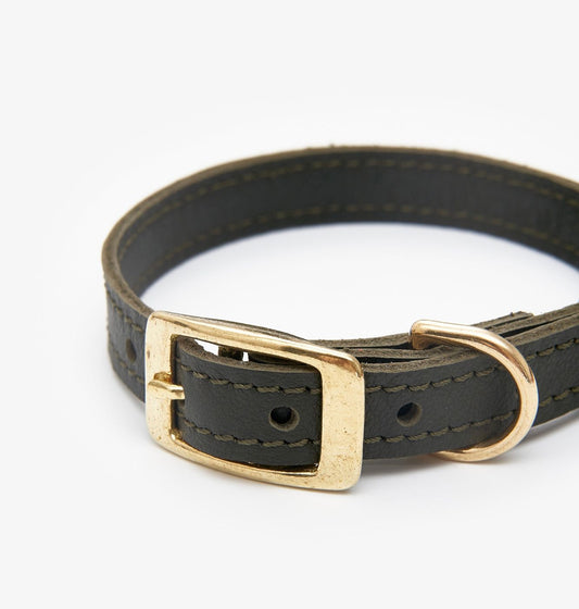 Closeup view of a luxury olive leather dog collar with premium stitching and elegant design