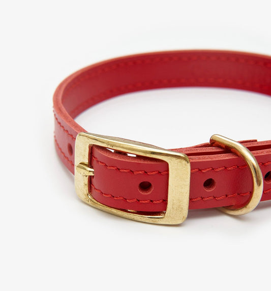 Closeup view of a luxury red leather dog collar with premium stitching and elegant design