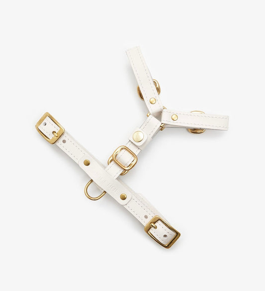 Full view of an adjustable milk-white leather dog harness with durable brass hardware, designed for comfort and style