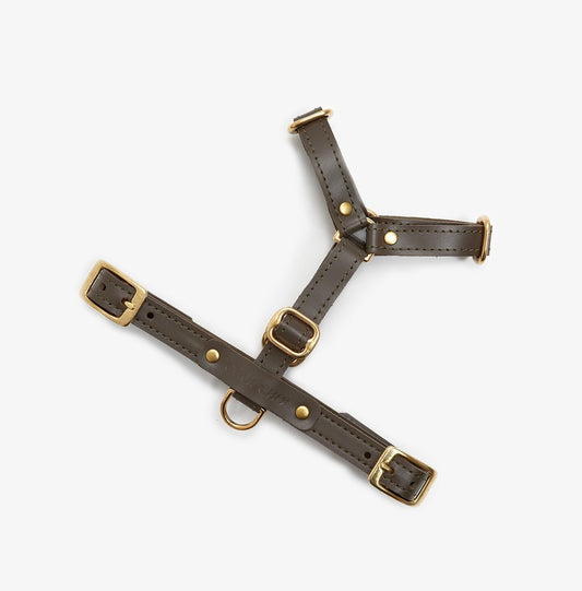 Full view of an adjustable olive leather dog harness with durable brass hardware, designed for comfort and style