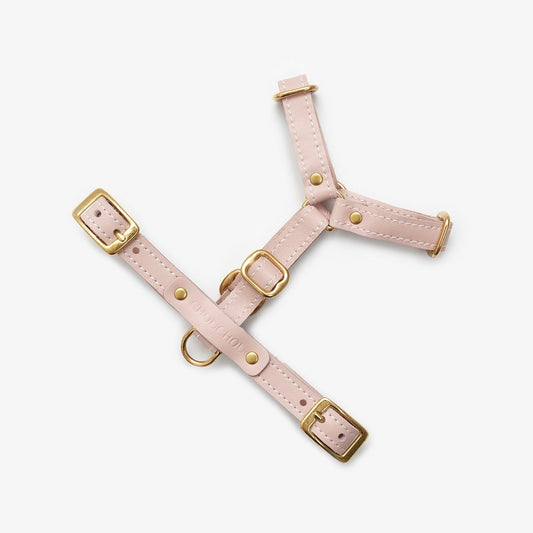 Full view of an adjustable pink leather dog harness with durable brass hardware, designed for comfort and style