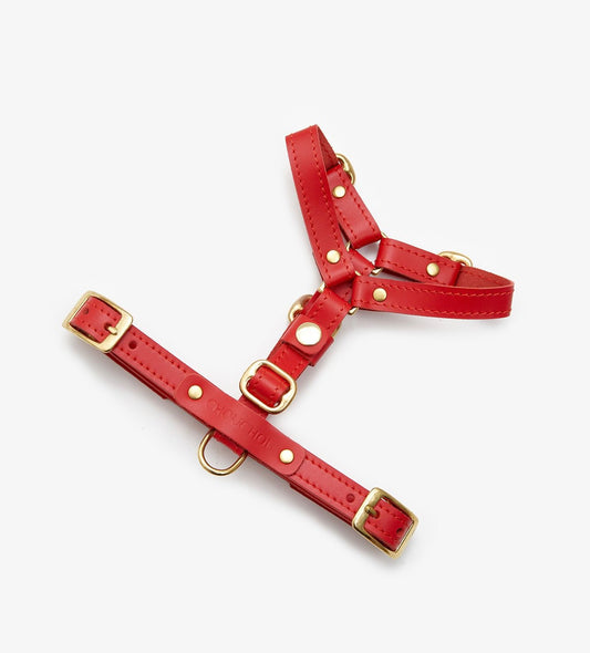 Full view of an adjustable red leather dog harness with durable brass hardware, designed for comfort and style
