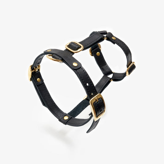 Close-up of a handmade luxury pink leather dog harness with gold hardware and elegant design