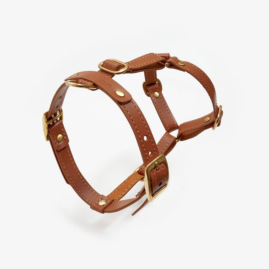 Close-up of a handmade luxury brown leather dog harness with gold hardware and an elegant design