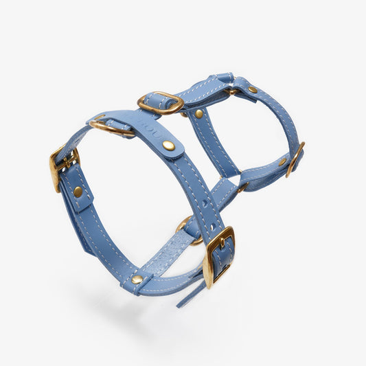 Close-up of a handmade luxury light-blue leather dog harness with gold hardware and an elegant design