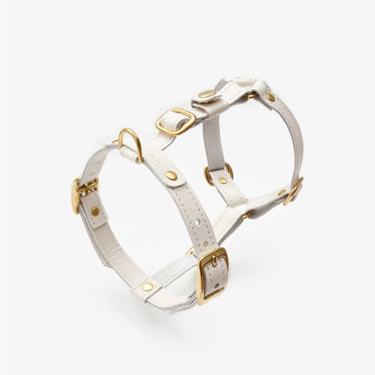 Close-up of a handmade luxury milk-white leather dog harness with gold hardware and an elegant design