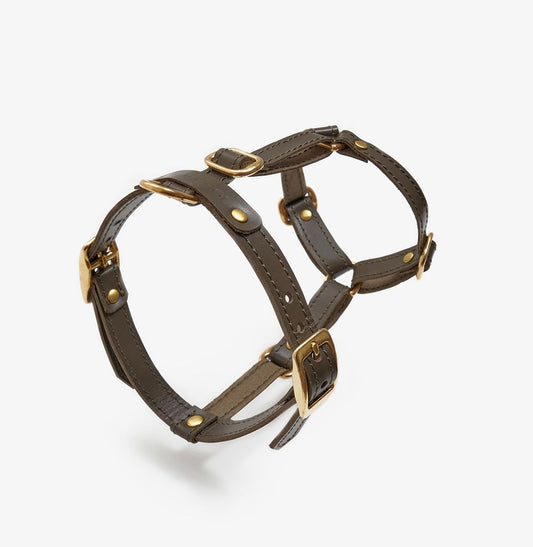 Close-up of a handmade luxury olive leather dog harness with gold hardware and an elegant design