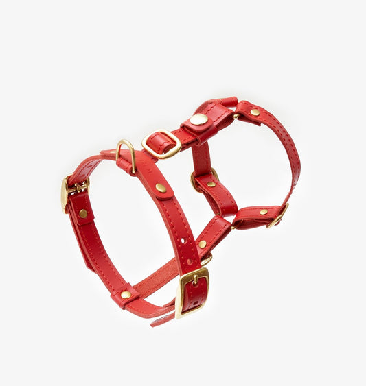 Close-up of a handmade luxury red leather dog harness with gold hardware and an elegant design